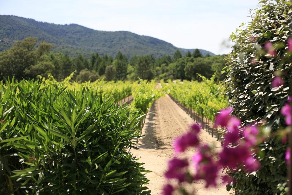 La Bastide Villa *